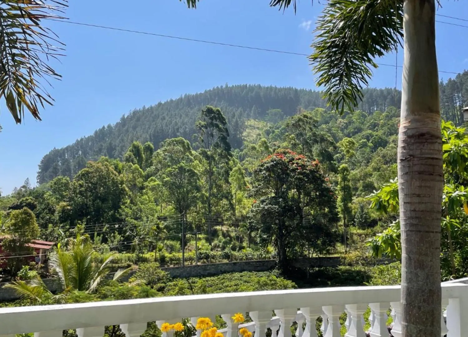 Отель Bellwood Hills Resort & Spa Канди